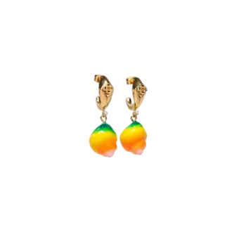 Brincos de concha pendentes