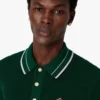 Camisas de manga curta em croché verde Camisas de manga curta em croché verde